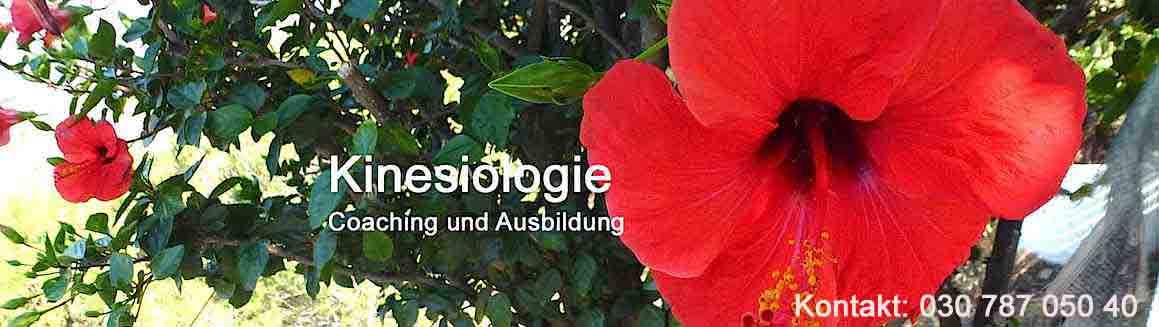 titelbild kinesiologie.institut berlin 2015